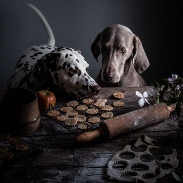 Food-фотография — искусство фотосъемки еды и напитков, способность передать вкус и запах через объектив | Фотография Konstantin Orekhov | OKEBLOG