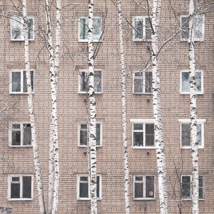 Жанровые фотографии из Инстаграм | Фотография Konstantin Orekhov | OKEBLOG