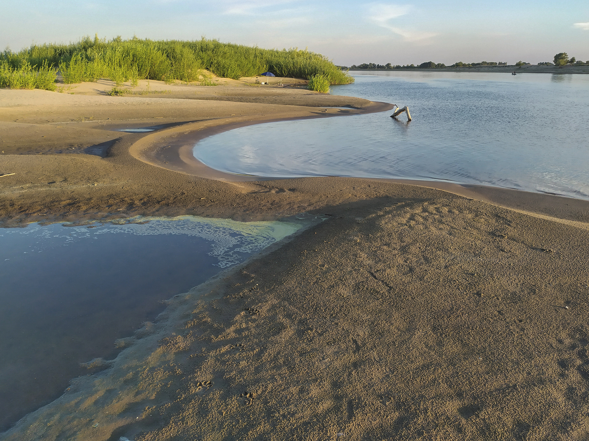 Озеро около берегов было засыпано ворохами желтых. Скнятино острова на Волге. Скнятино пляж. Песчаный берег реки. Песчаный берег реки Эридан.